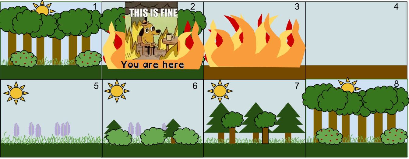 Komiks w ośmiu kadrach, przedstawiający proces wtórnej sukcesji, od stabilnego lasu, poprzez zakłócenie zewnętrzne (pożar) i stopniową odnowę złożonej biocenozy, aż do znów (relatywnie) stabilnej populacji. W kadrze nr 2 (płonący las) nałożona postać pieska i dymek z memu "This is fine", pod nim napis "You are here"